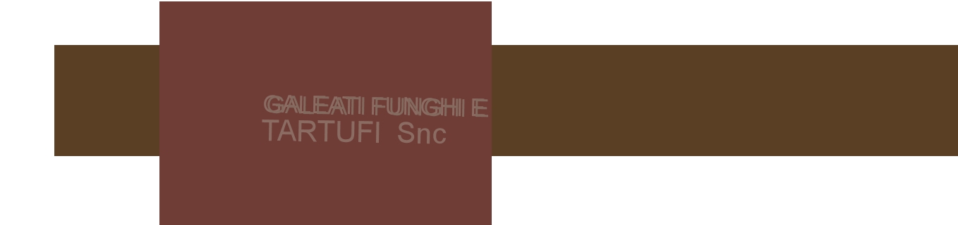 logo Galeati Funghi e Tartufi Snc