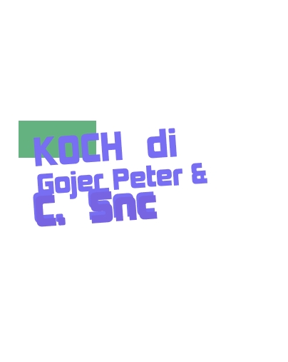 logo Koch di Gojer Peter & C. Snc