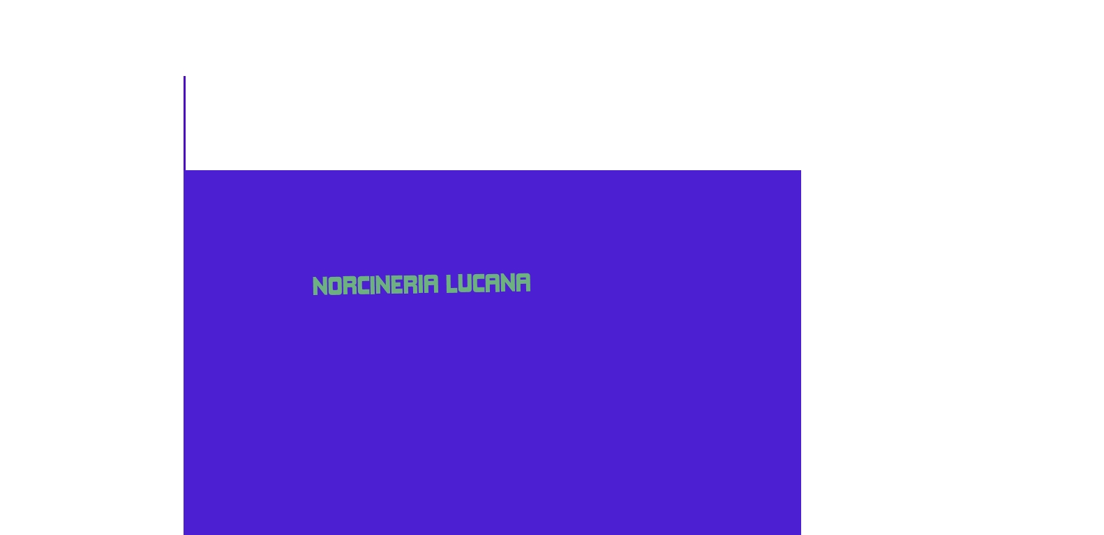 logo Norcineria Lucana