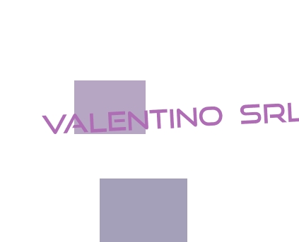 logo Valentino Srl