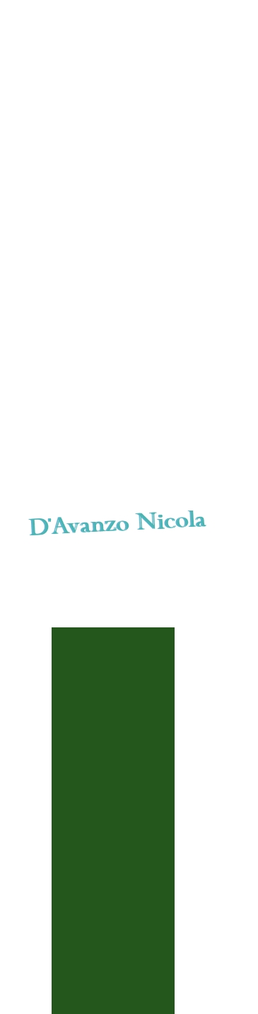 logo D‘Avanzo Nicola