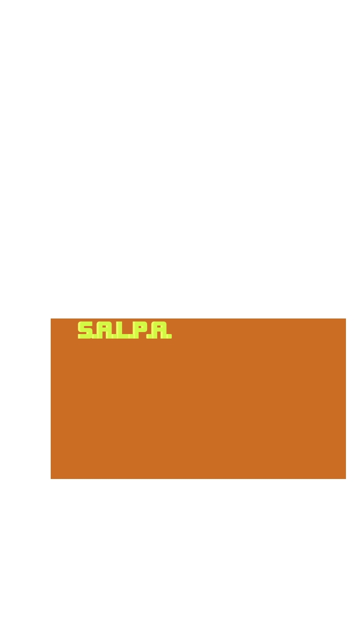 logo S.A.L.P.A.
