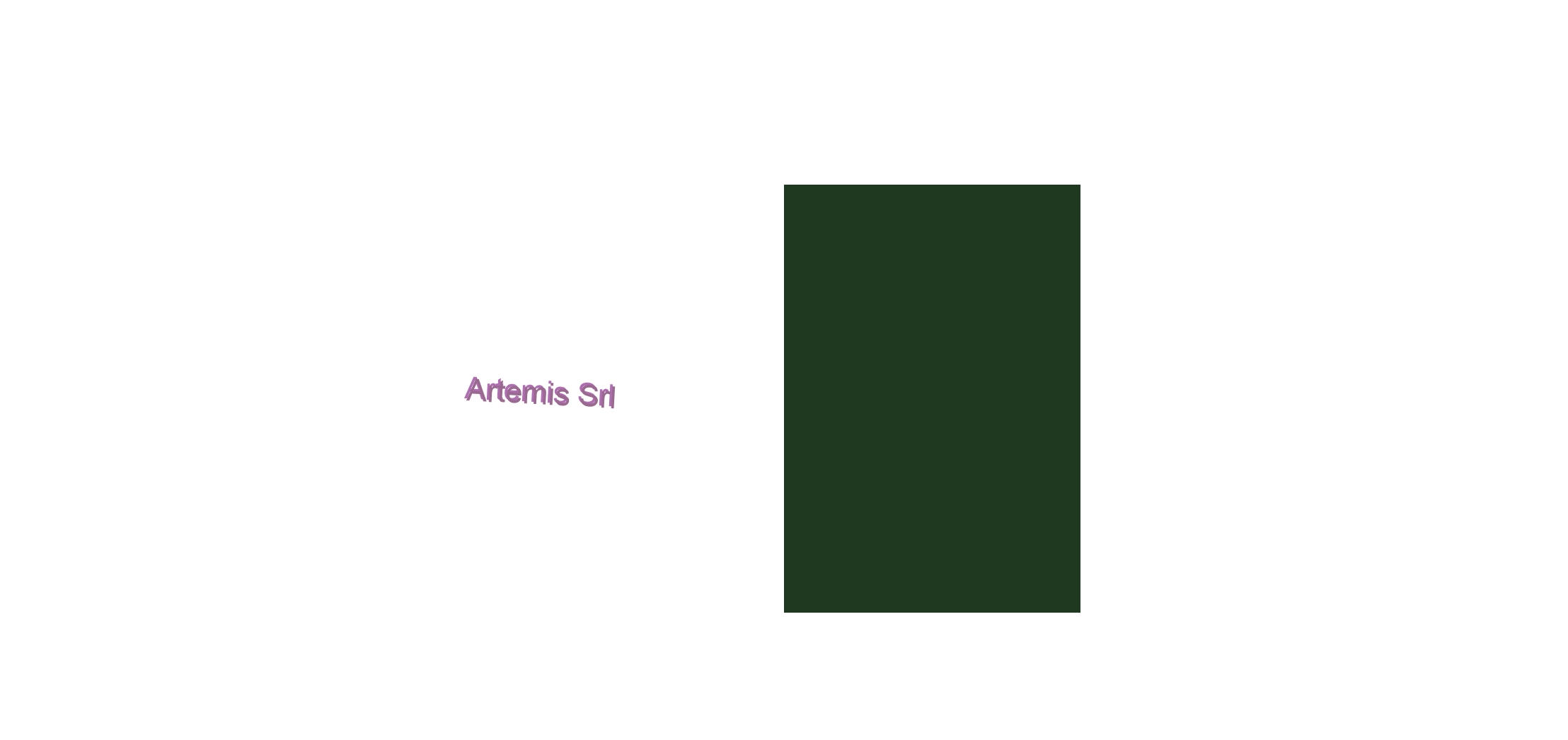 Artemis Srl