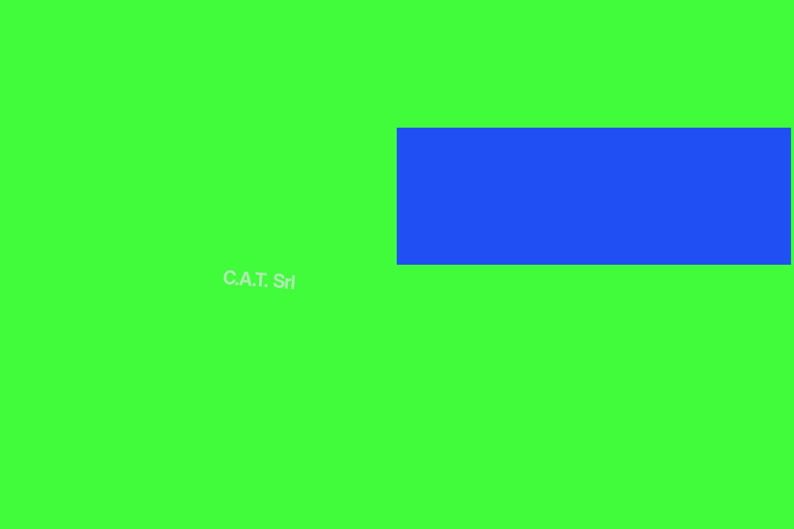 C.A.T. Srl C.A.T. Srl