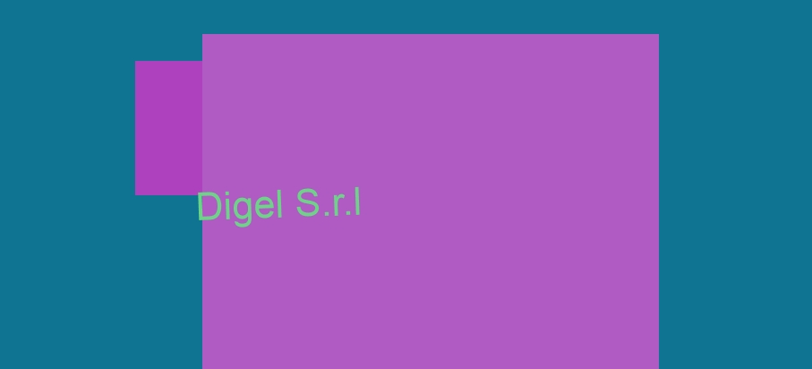 Digel S.r.l