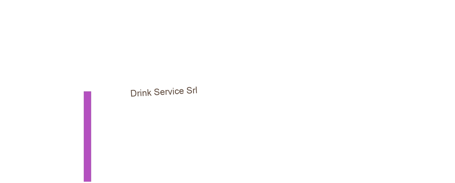 Drink Service Srl