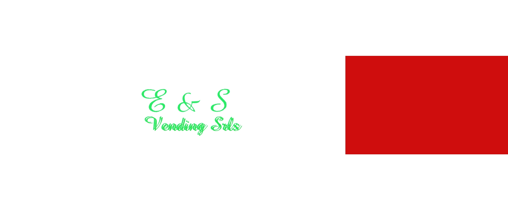logo E & S Vending Srls