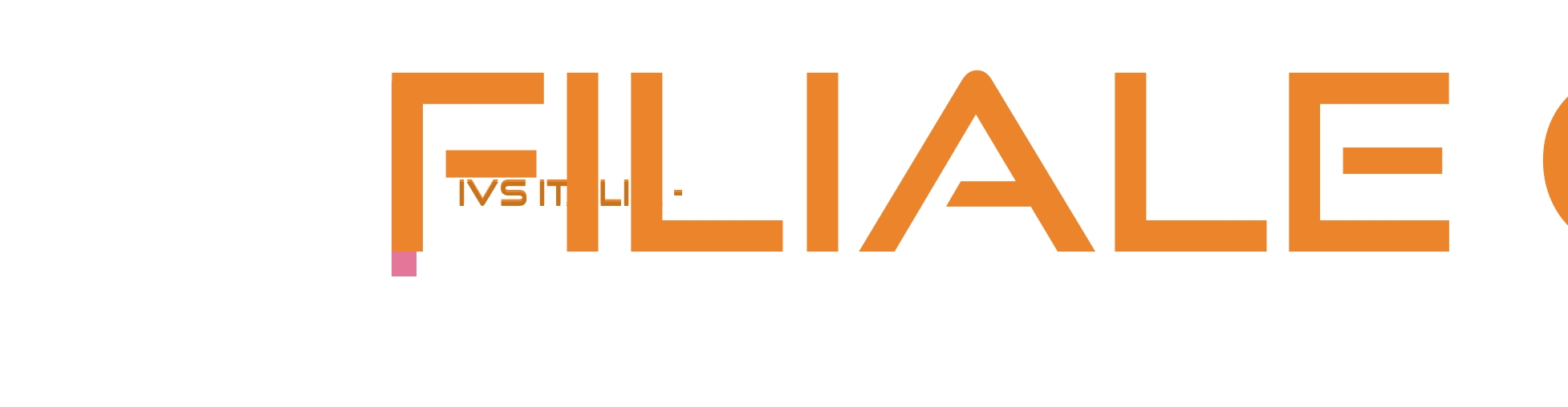 Ivs Italia - Filiale Caserta