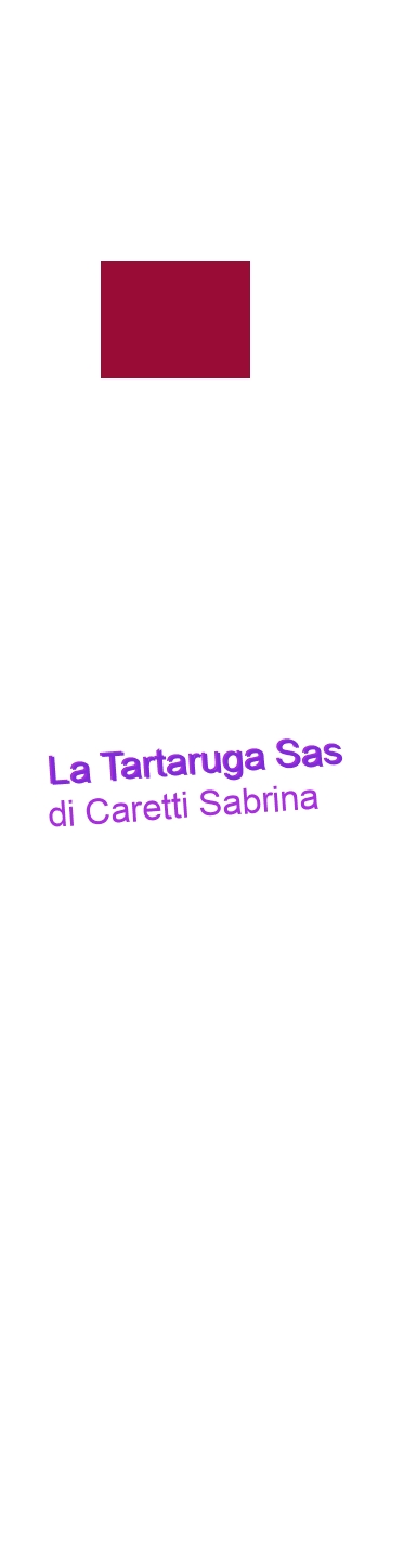 La Tartaruga Sas di Caretti Sabrina
