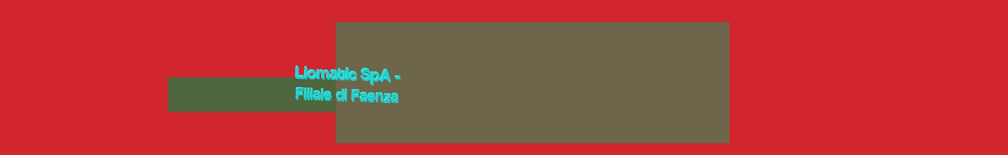 Liomatic SpA - Filiale di Faenza