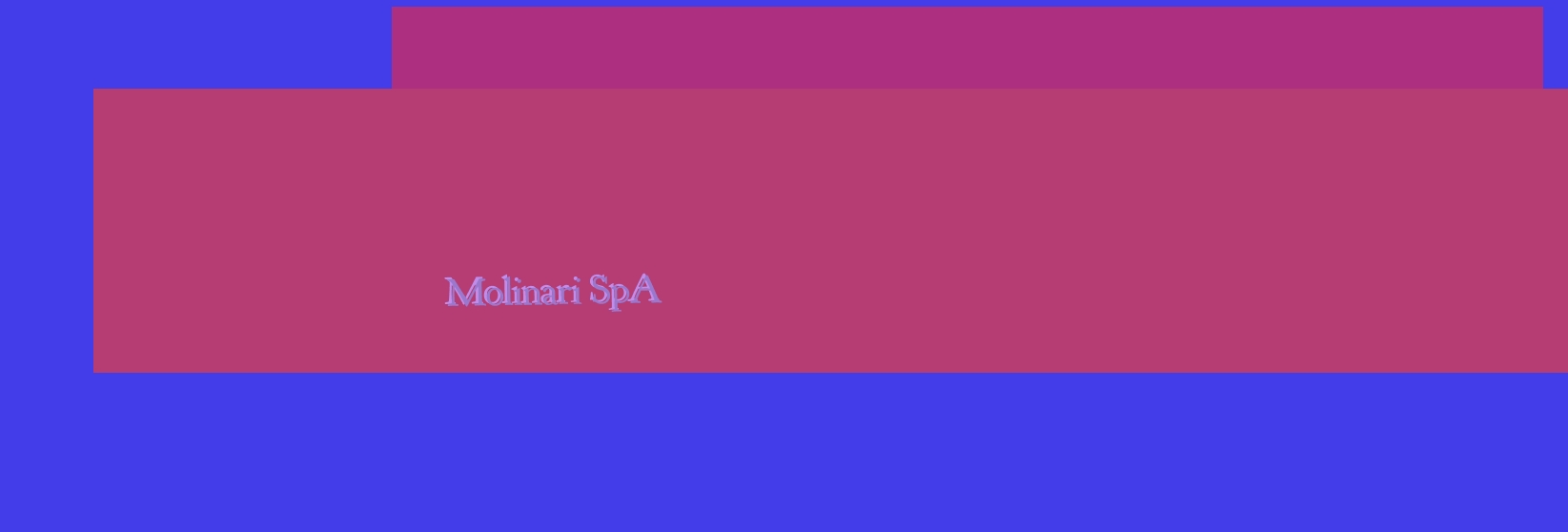 Molinari SpA