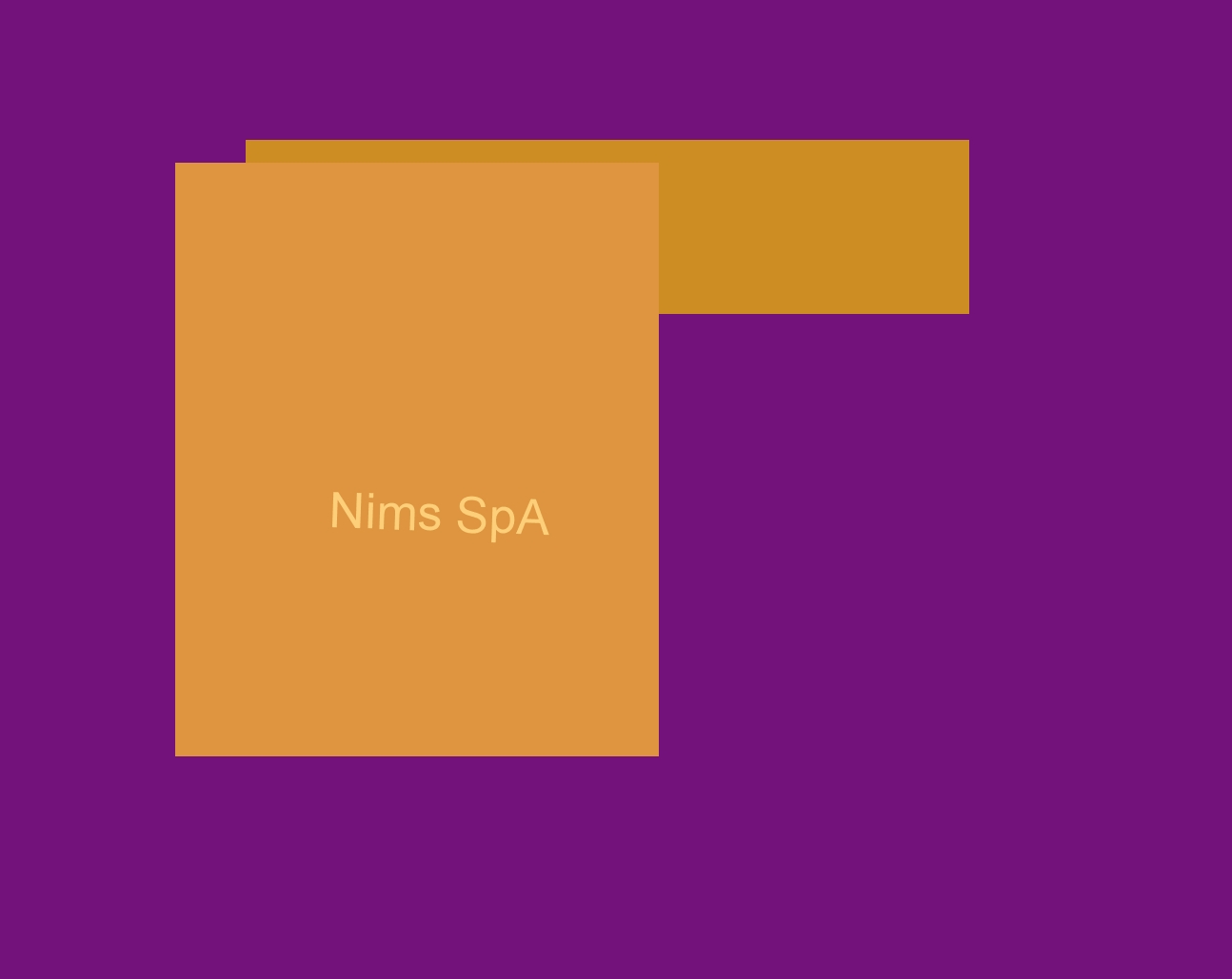 Nims SpA