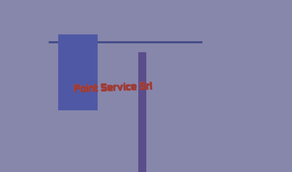 Point Service Srl