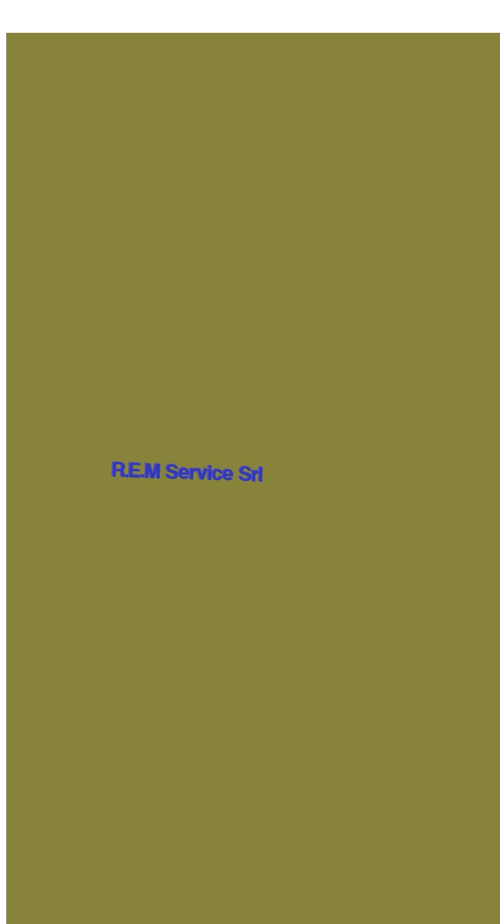 R.E.M Service Srl R.E.M Service Srl