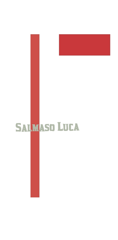logo Salmaso Luca