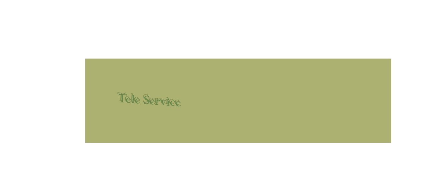 logo Tele Service