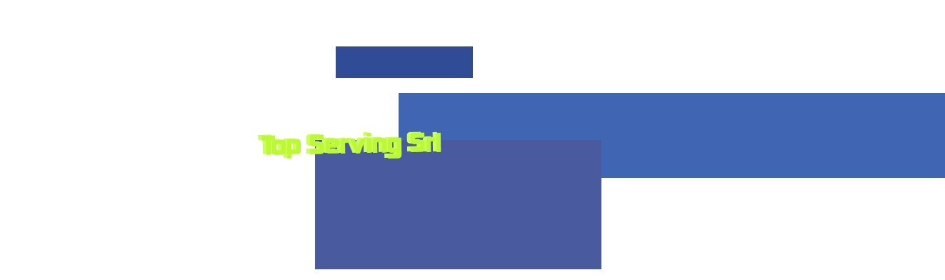 Top Serving Srl