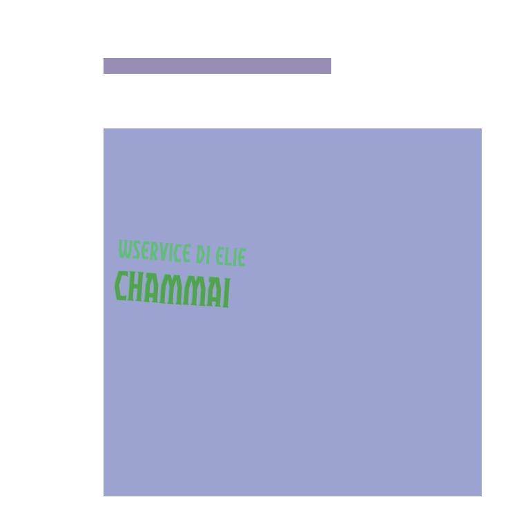 Wservice di Elie Chammai