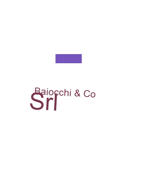 Baiocchi & Co Srl