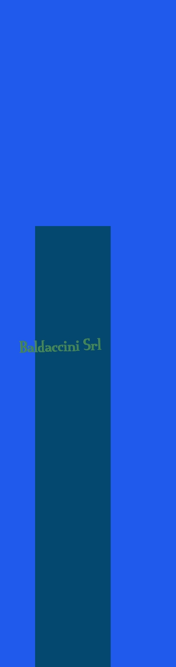 Baldaccini Srl