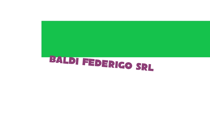 Baldi Federigo Srl