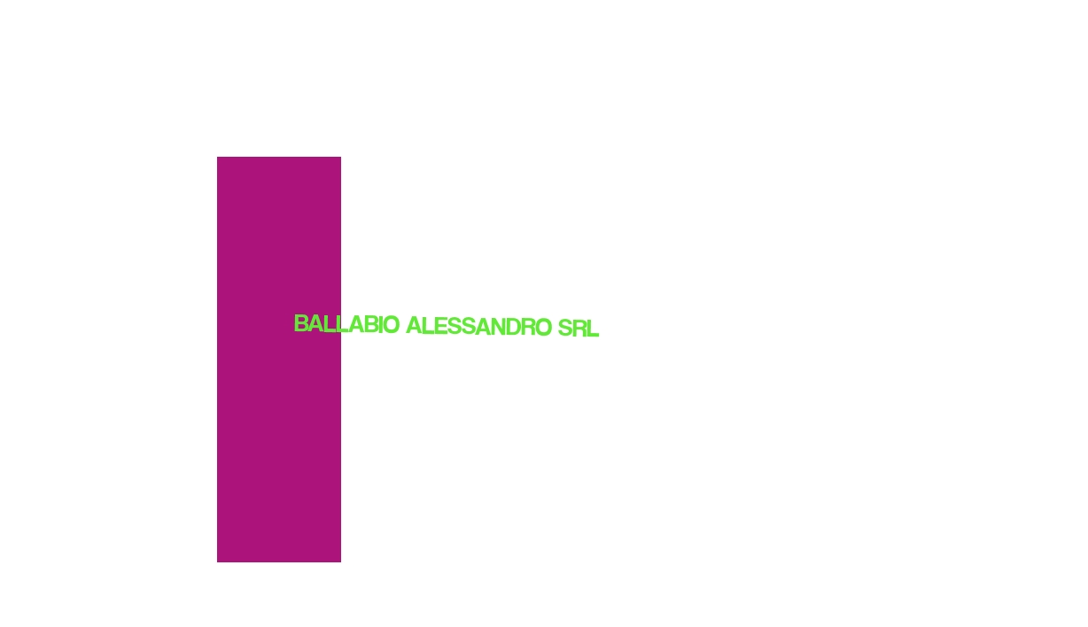BALLABIO ALESSANDRO SRL BALLABIO ALESSANDRO SRL