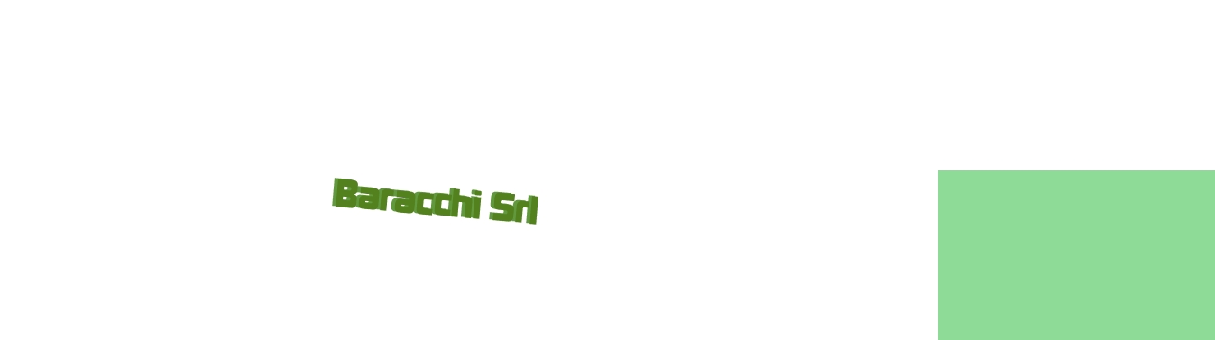 Baracchi Srl Baracchi Srl