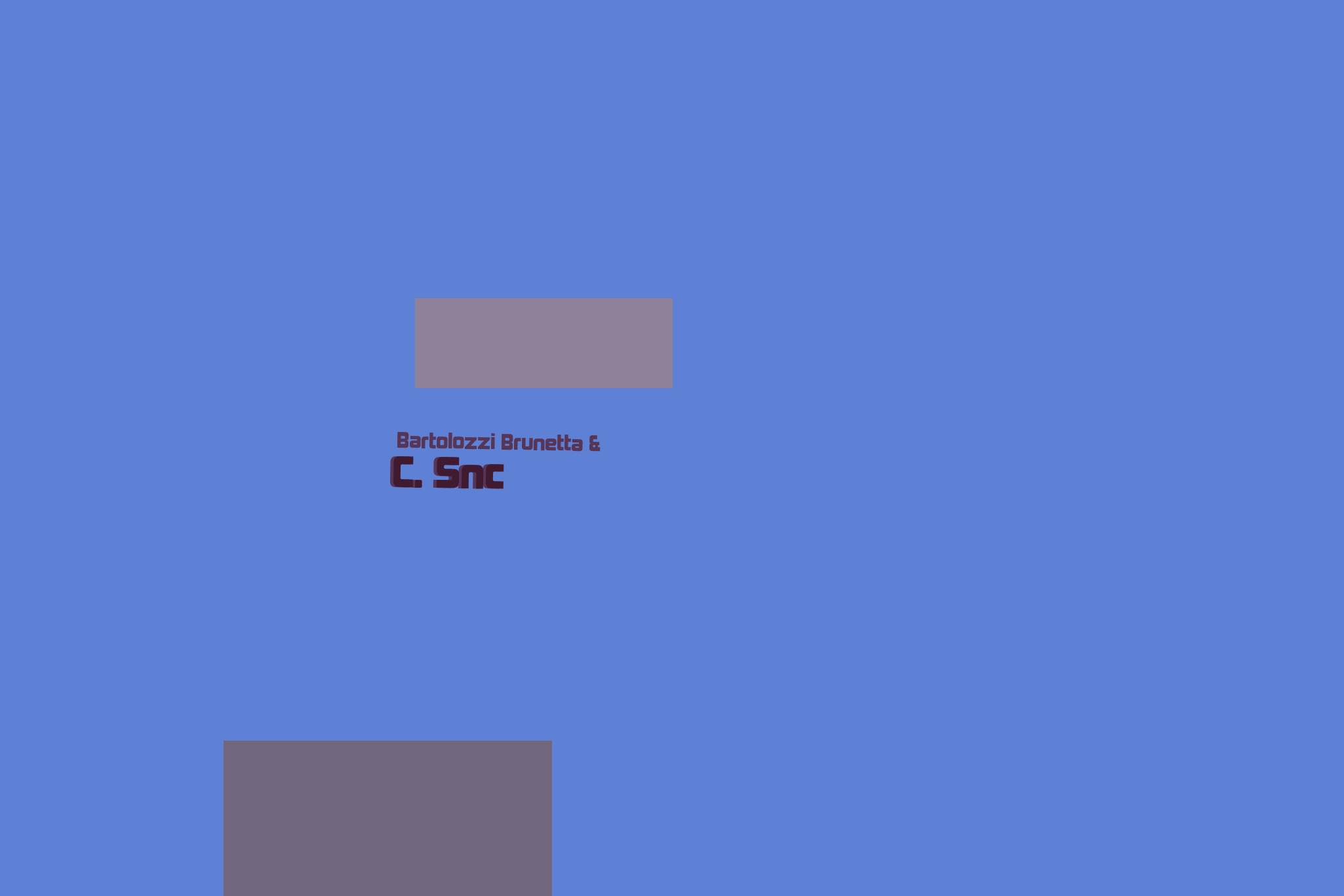 Bartolozzi Brunetta & C. Snc Bartolozzi Brunetta & C. Snc