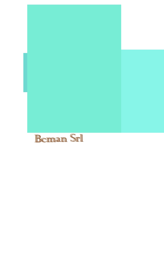Beman Srl