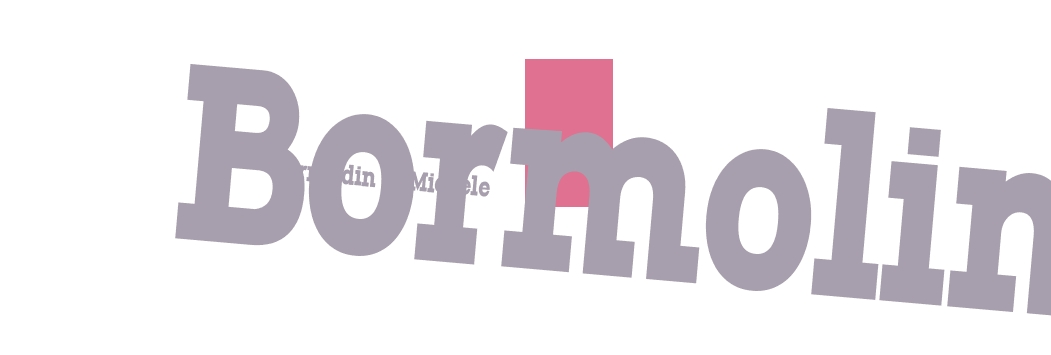 Bernardin di Michele Bormolini