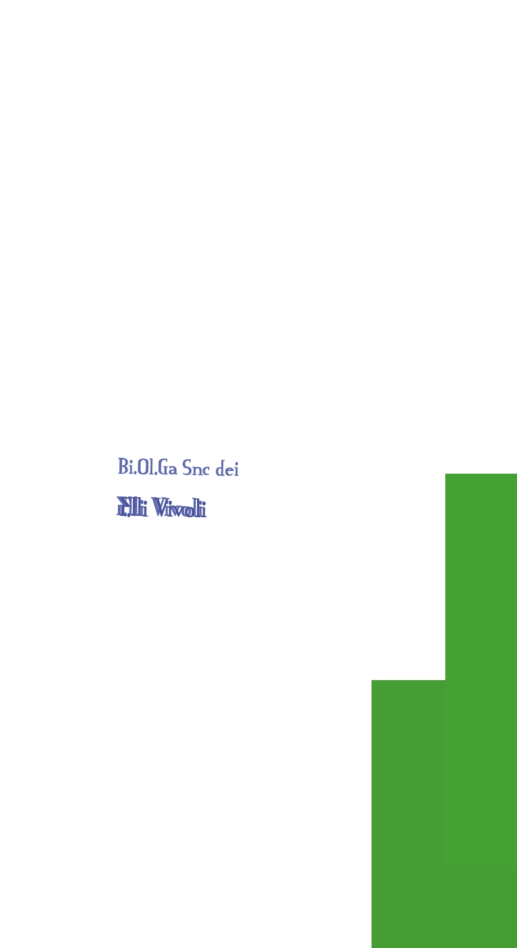 Bi.Ol.Ga Snc dei F.lli Vivoli