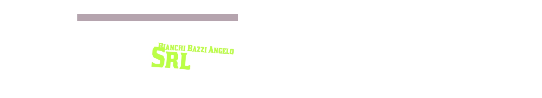 Bianchi Bazzi Angelo Srl