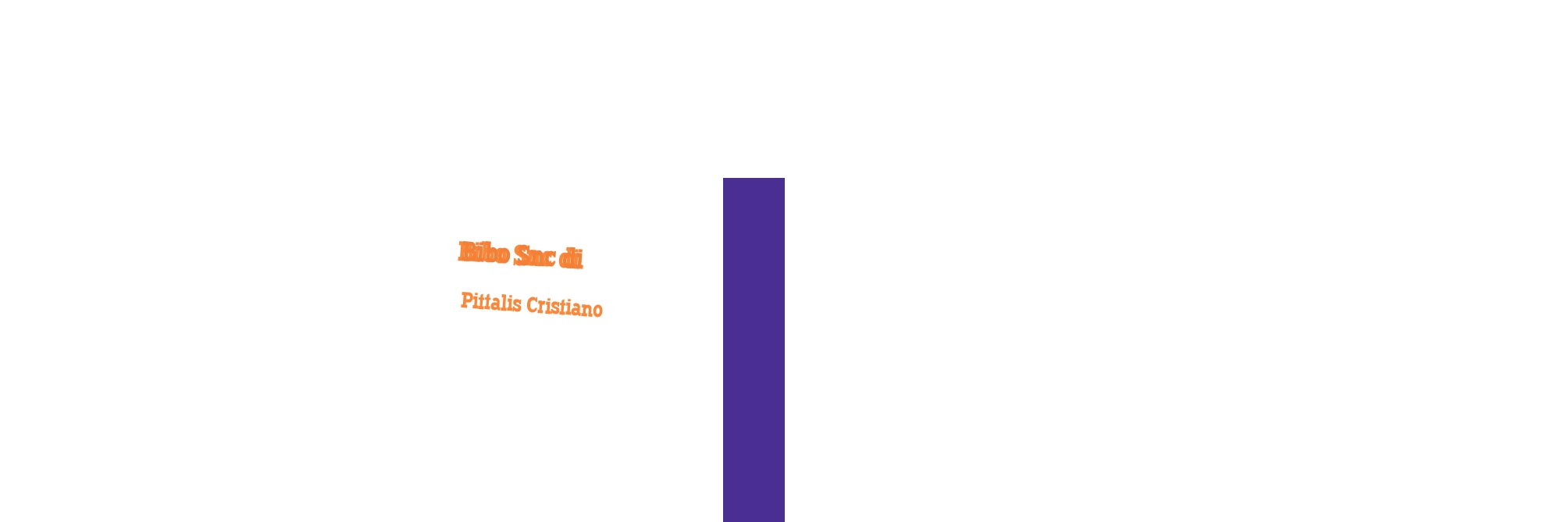 Bibo Snc di Pittalis Cristiano