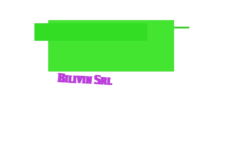 logo Bilivin Srl