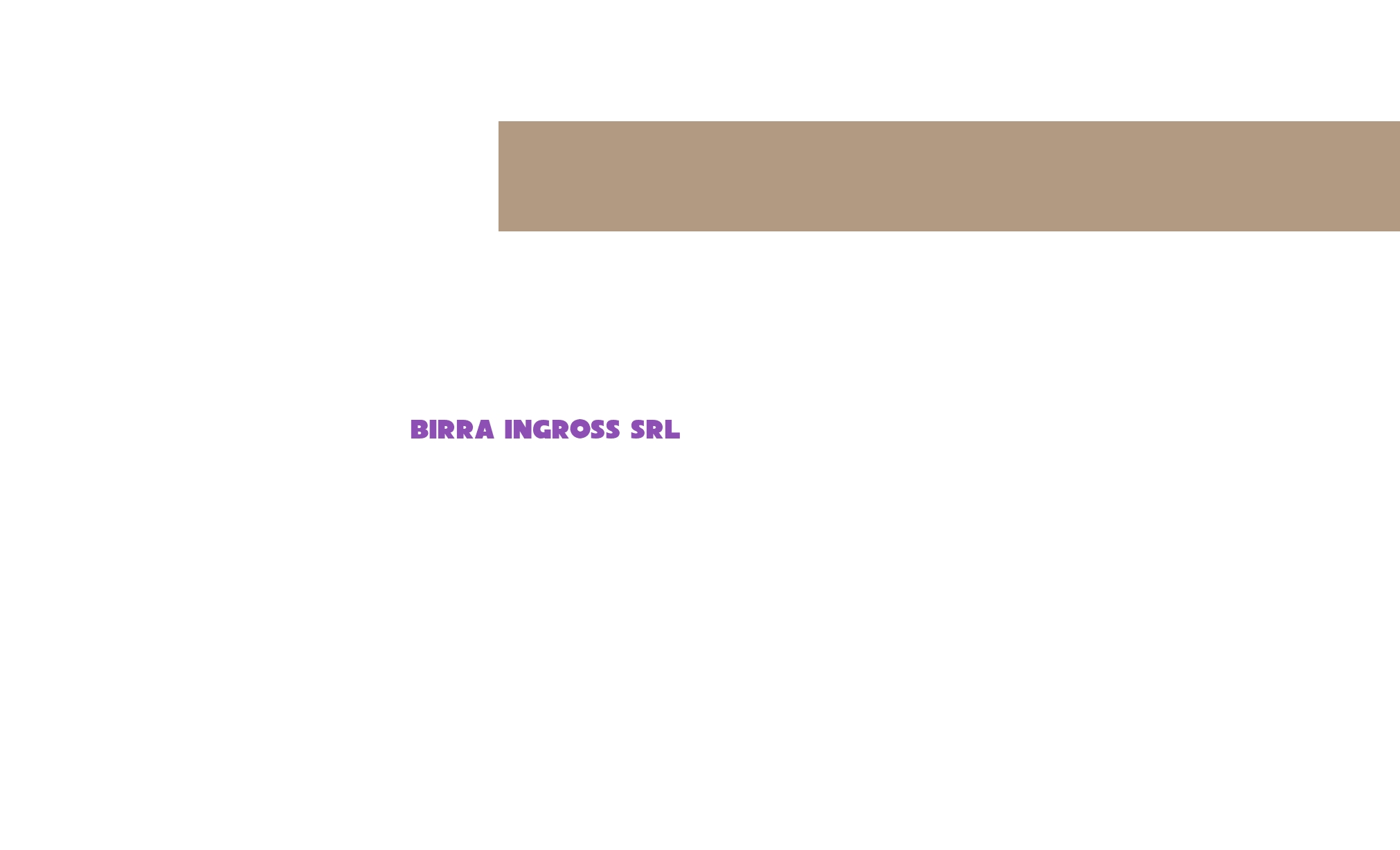 Birra Ingross Srl Birra Ingross Srl