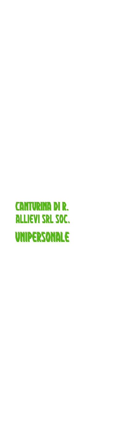 logo Canturina di R. Allievi Srl Soc. Unipersonale