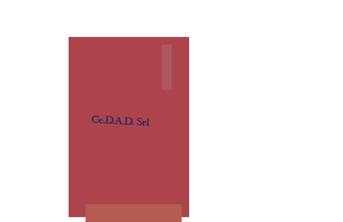 Ce.D.A.D. Srl Ce.D.A.D. Srl