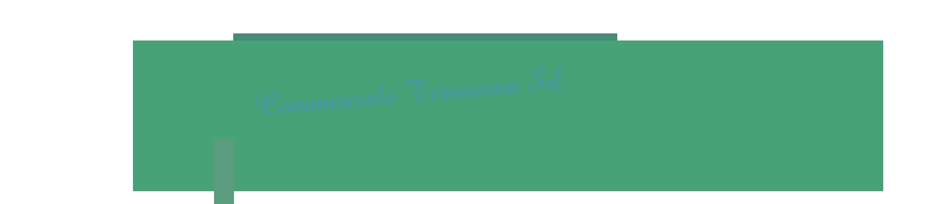 Commerciale Terranova Srl