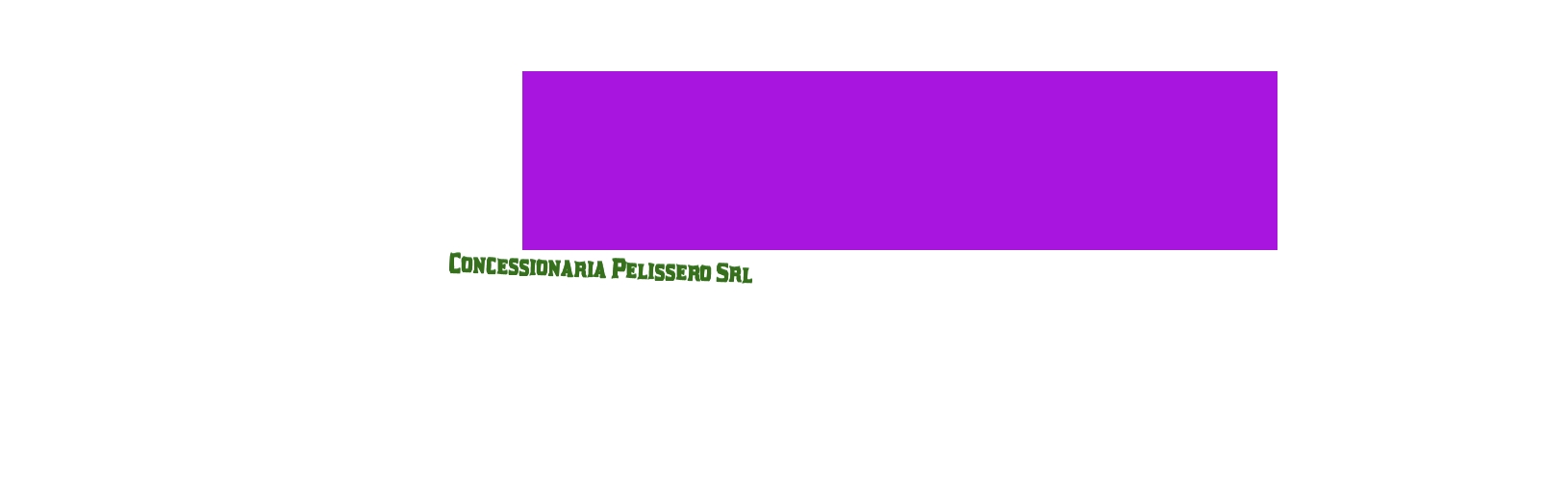 Concessionaria Pelissero Srl