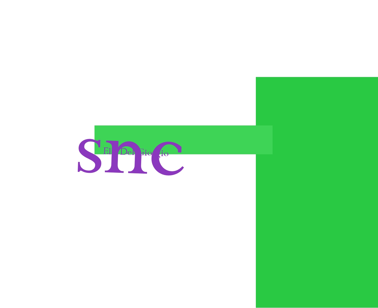 F.lli Del Giorgio snc