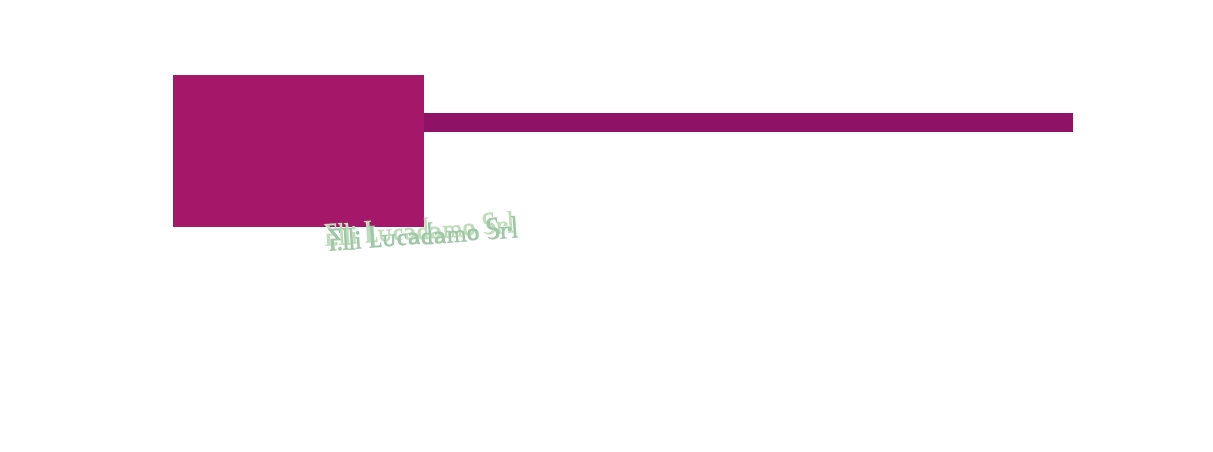 F.lli Lucadamo Srl