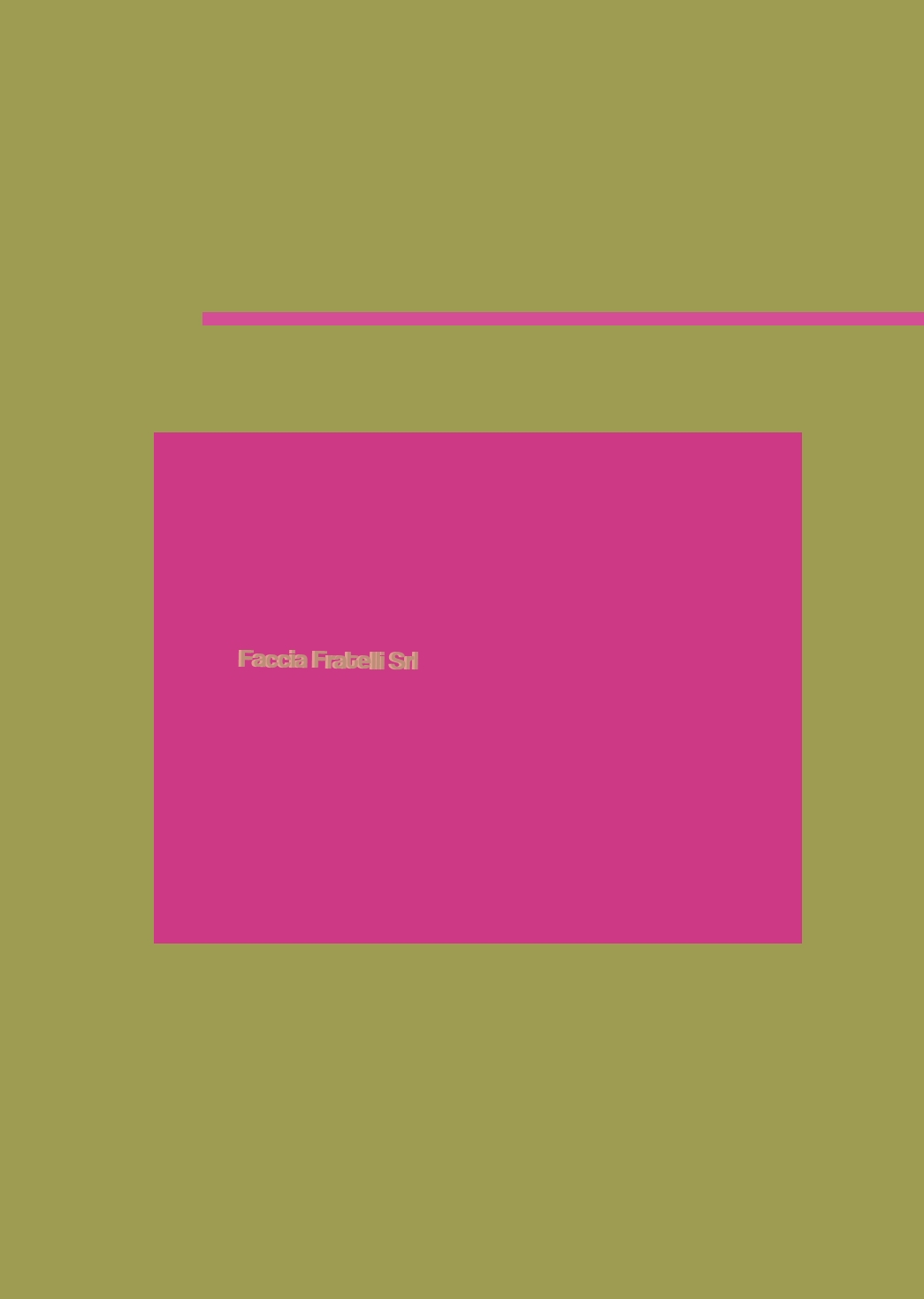 Faccia Fratelli Srl