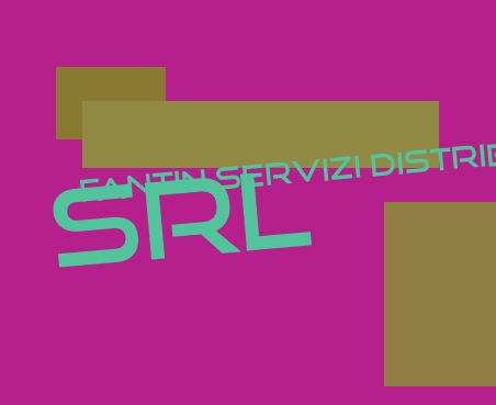 Fantin Servizi Distributivi Srl