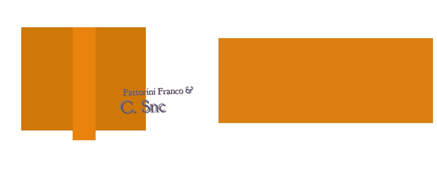 Fattorini Franco & C. Snc