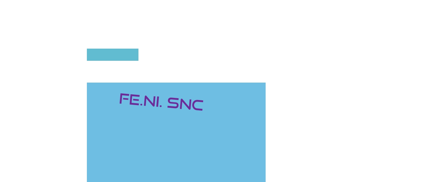 Fe.Ni. Snc
