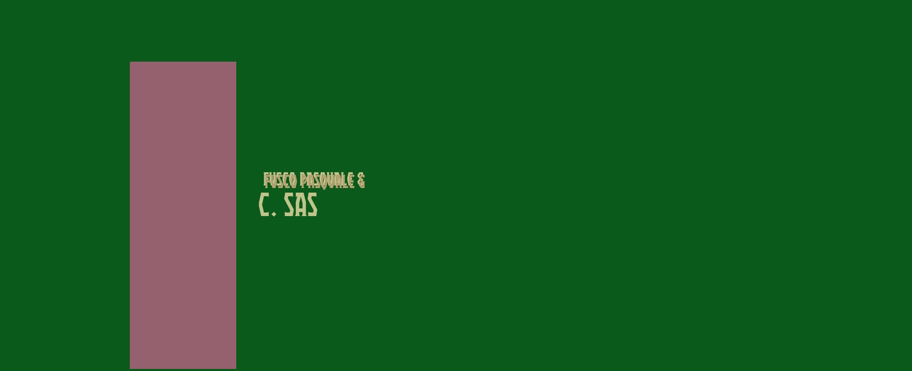 Fusco Pasquale & C. Sas