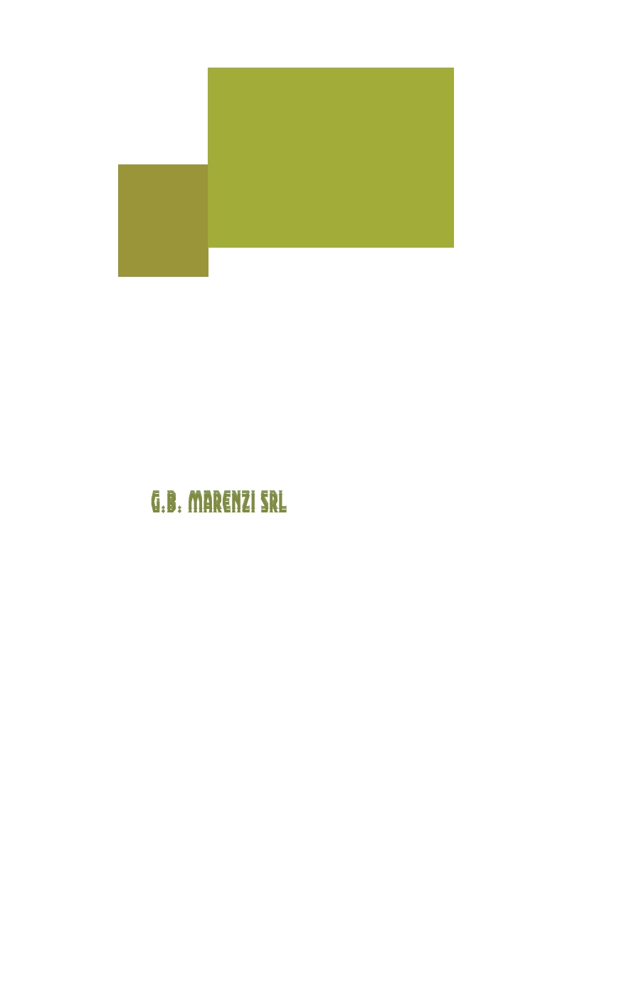 G.B. Marenzi Srl