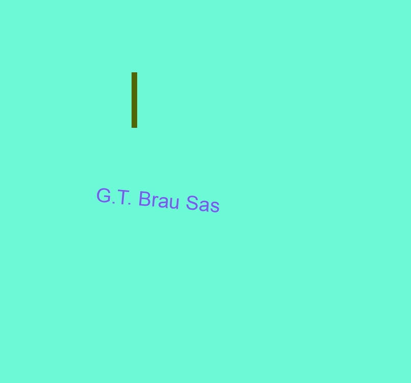 G.T. Brau Sas