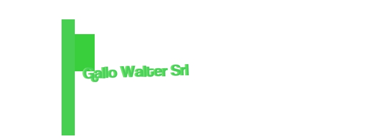 Gallo Walter Srl