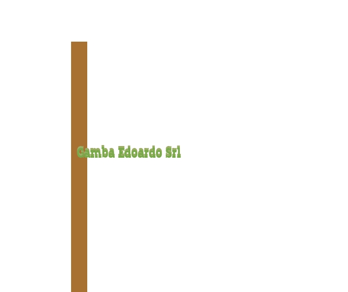 Gamba Edoardo Srl